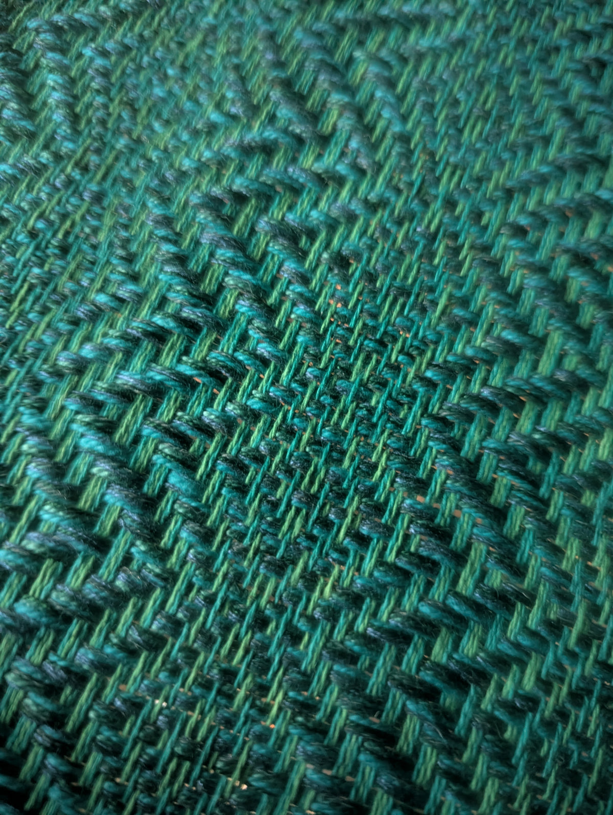 Fresh Warp